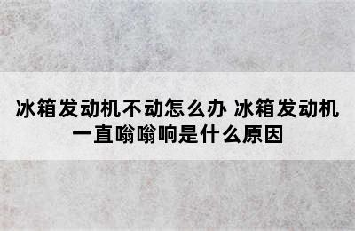 冰箱发动机不动怎么办 冰箱发动机一直嗡嗡响是什么原因